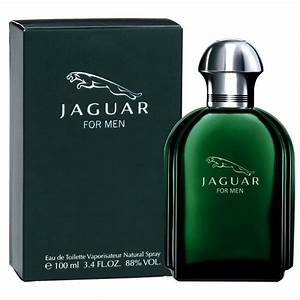 Jaguar 100ml Edt Spray For Men